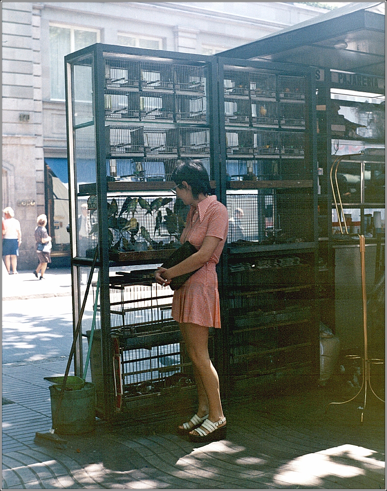 237 Il viaggio 1973.jpeg