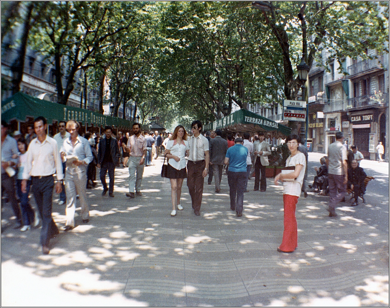 257 Il viaggio 1973.jpeg