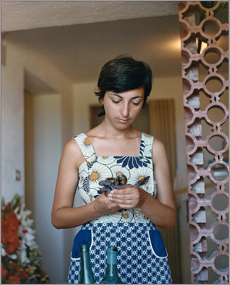 346 Il viaggio 1973.jpeg