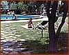 302 Il viaggio 1973.jpeg