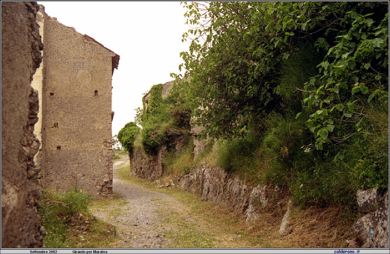 02P_5537.jpg