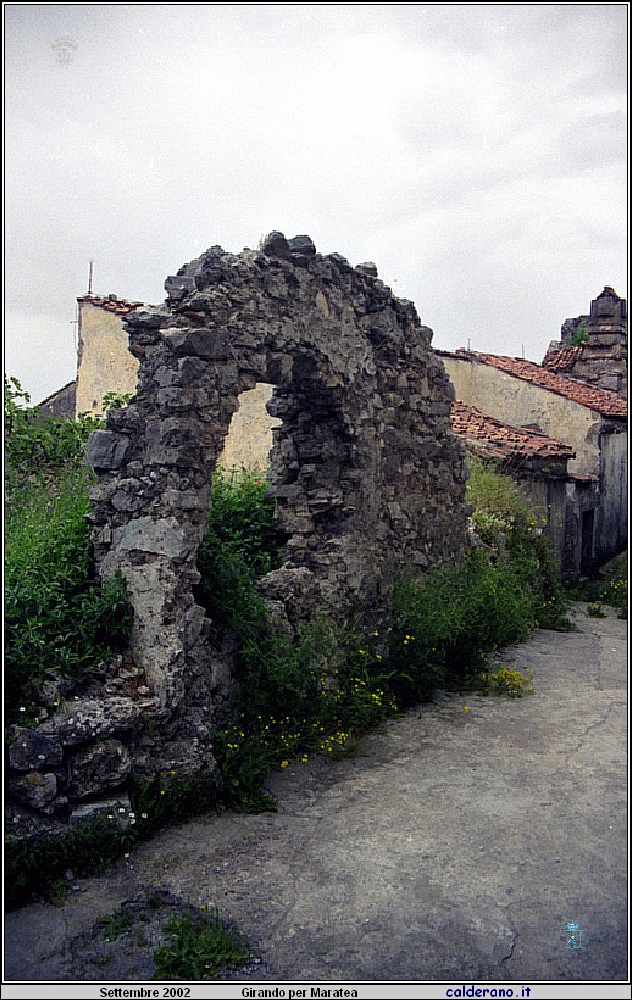 02P_5539.jpg
