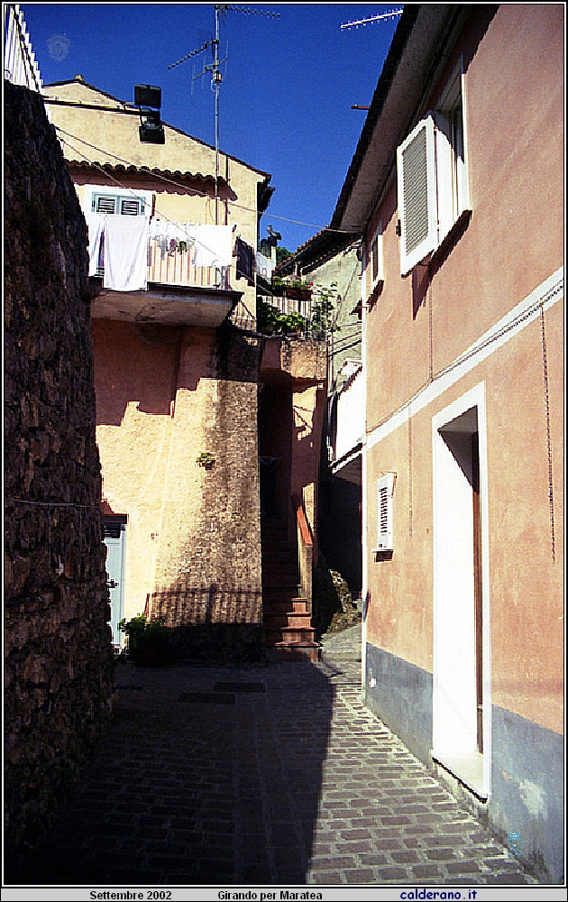 02P_5540.jpg