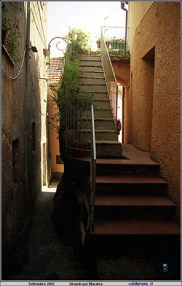 02P_5541.jpg