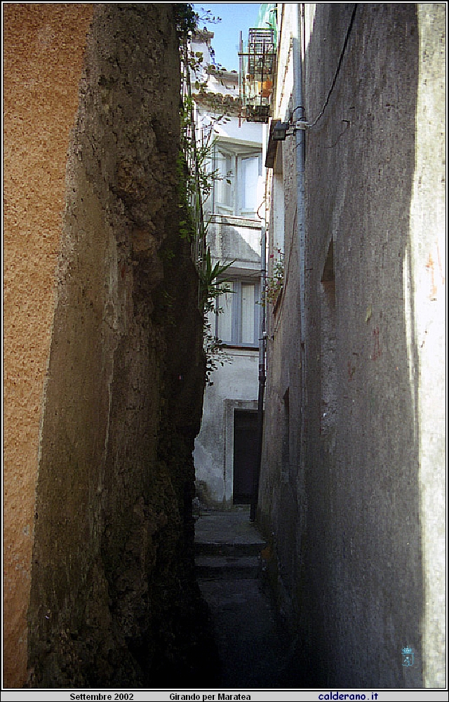 02P_5543.jpg