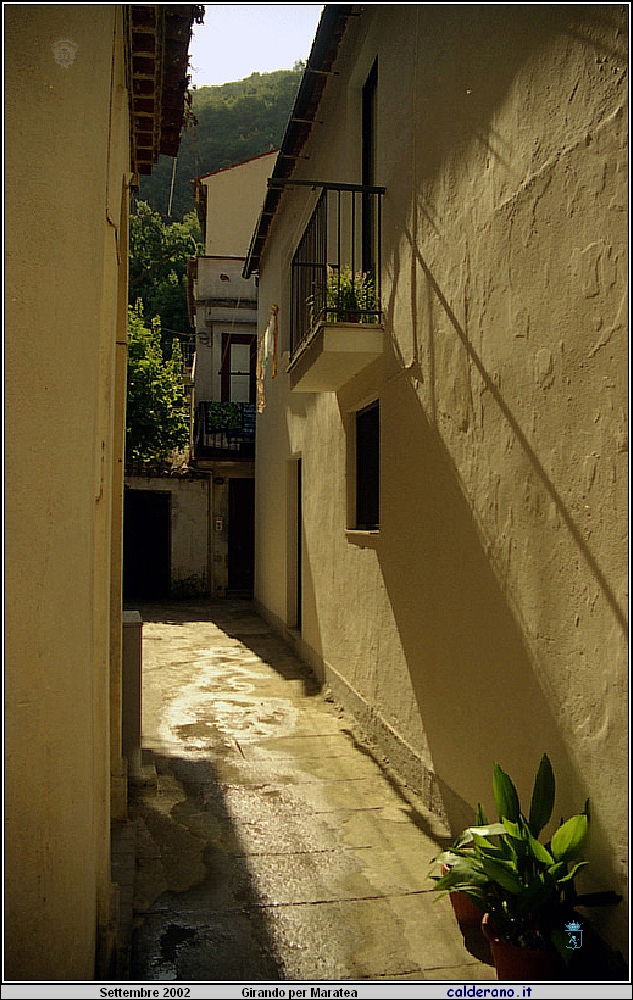 02P_5544.jpg