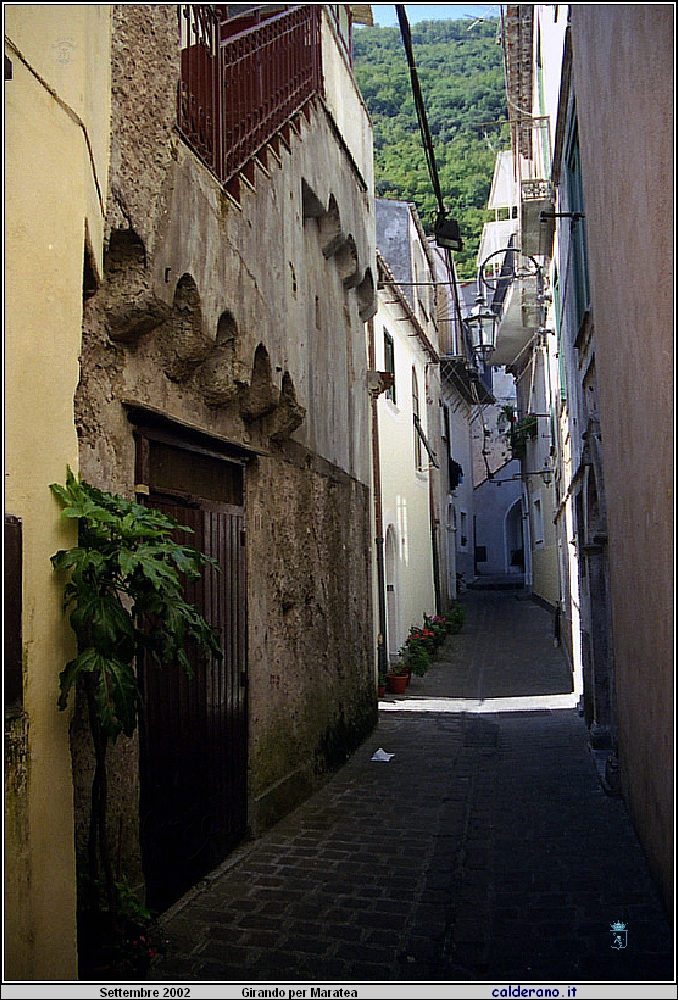 02P_5545.jpg