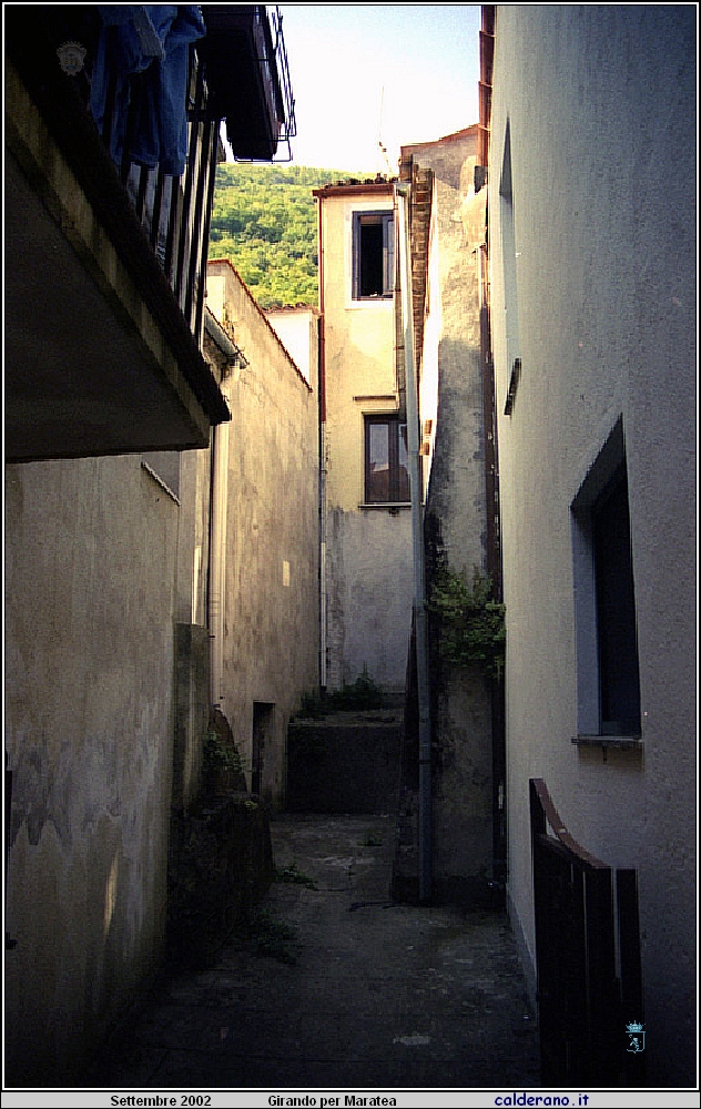 02P_5546.jpg