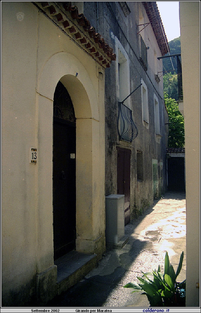 02P_5547.jpg