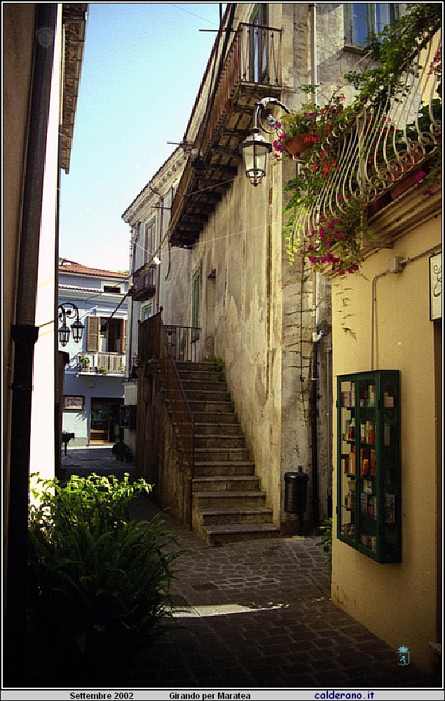 02P_5548.jpg