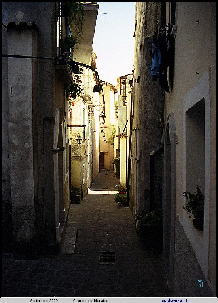 02P_5550.jpg
