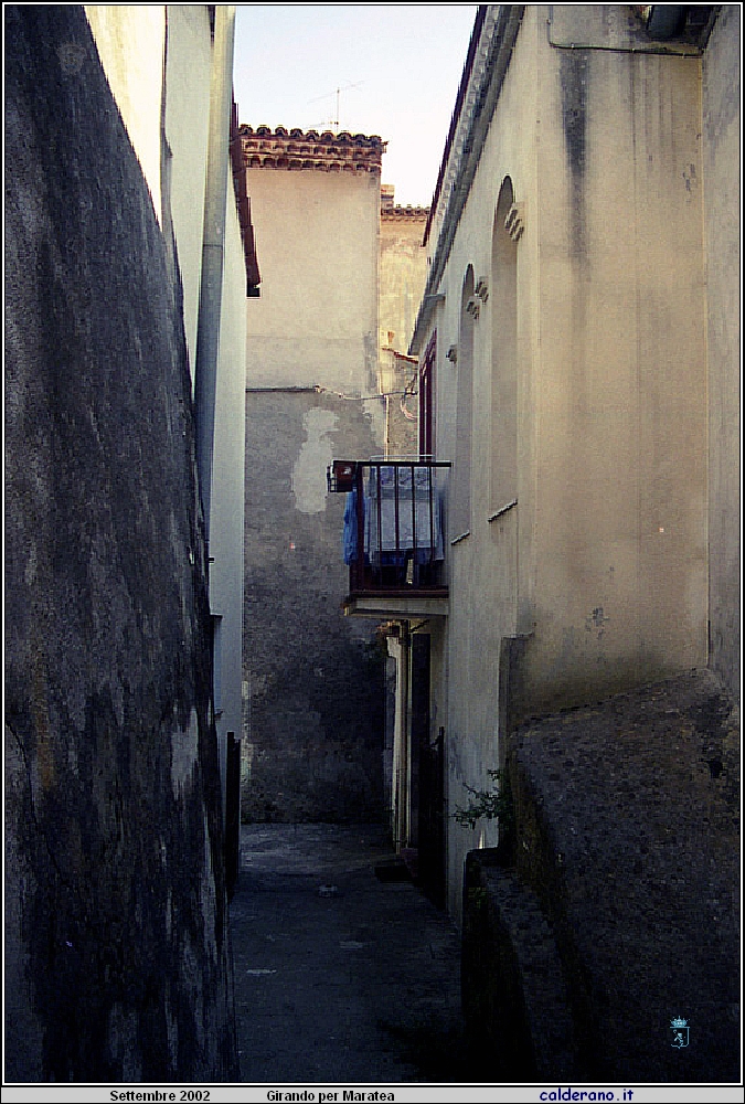 02P_5551.jpg