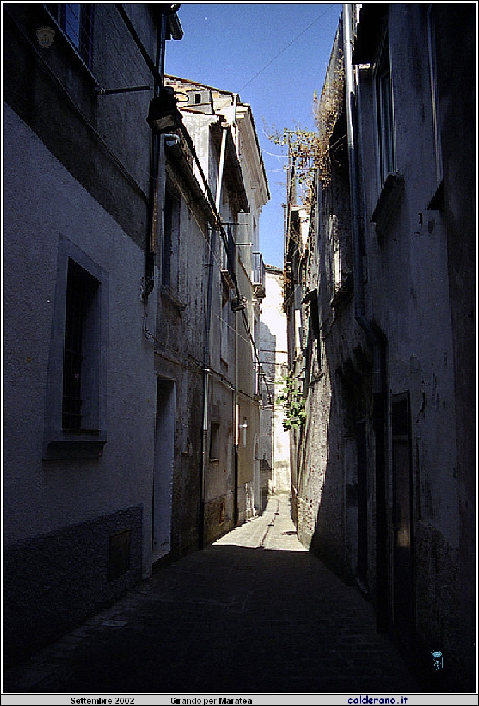 02P_5552.jpg