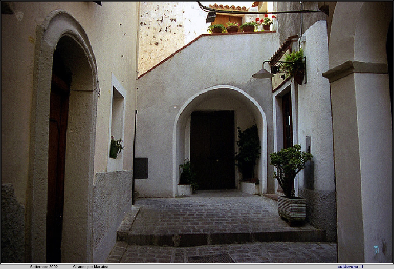 02P_5554.jpg