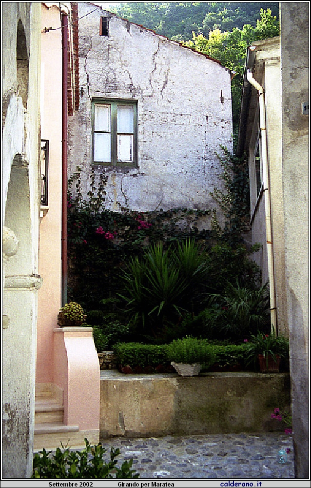 02P_5555.jpg