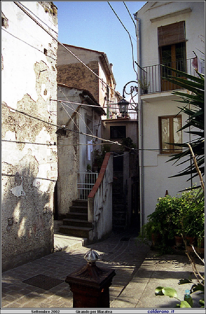 02P_5565.jpg