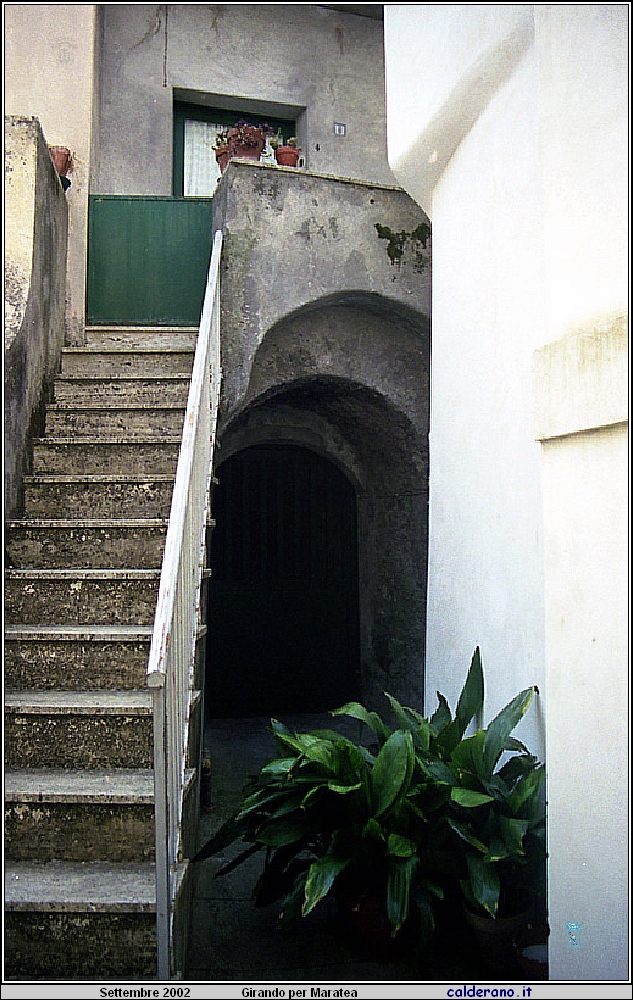 02P_5566.jpg
