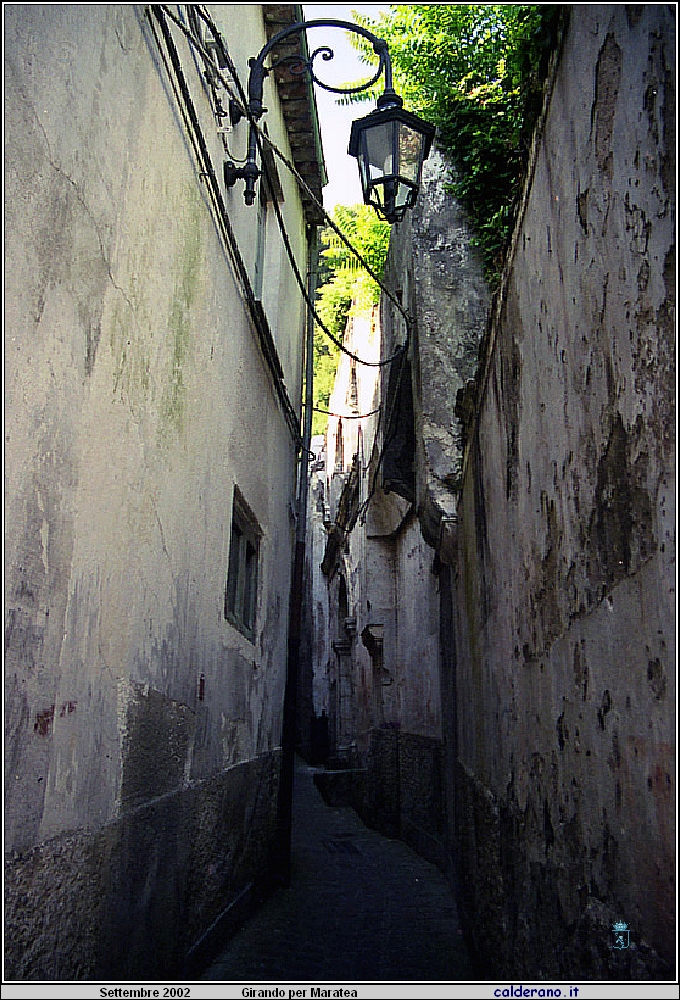 02P_5567.jpg