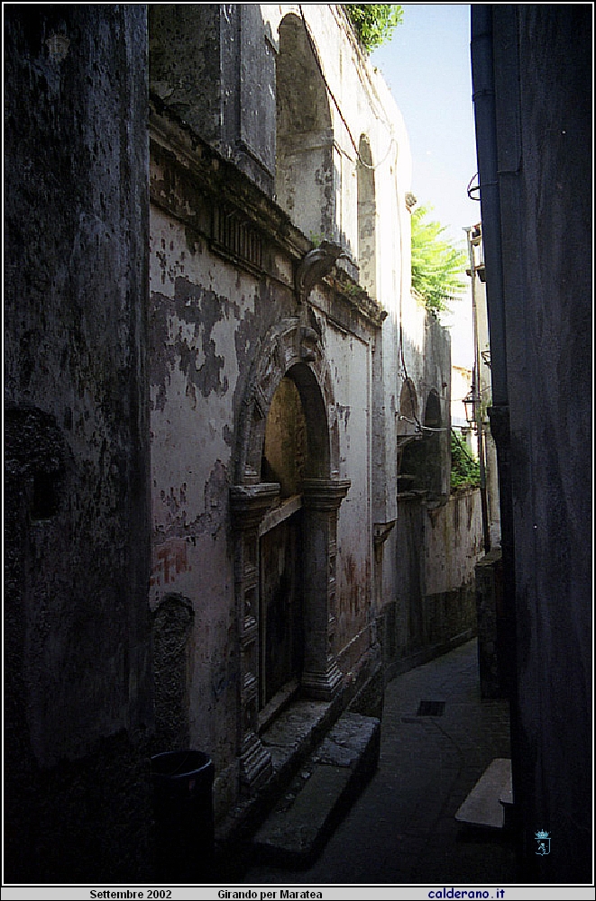 02P_5568.jpg