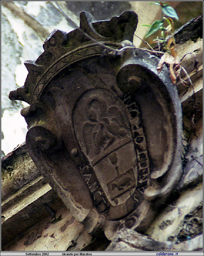 02P_5571.jpg