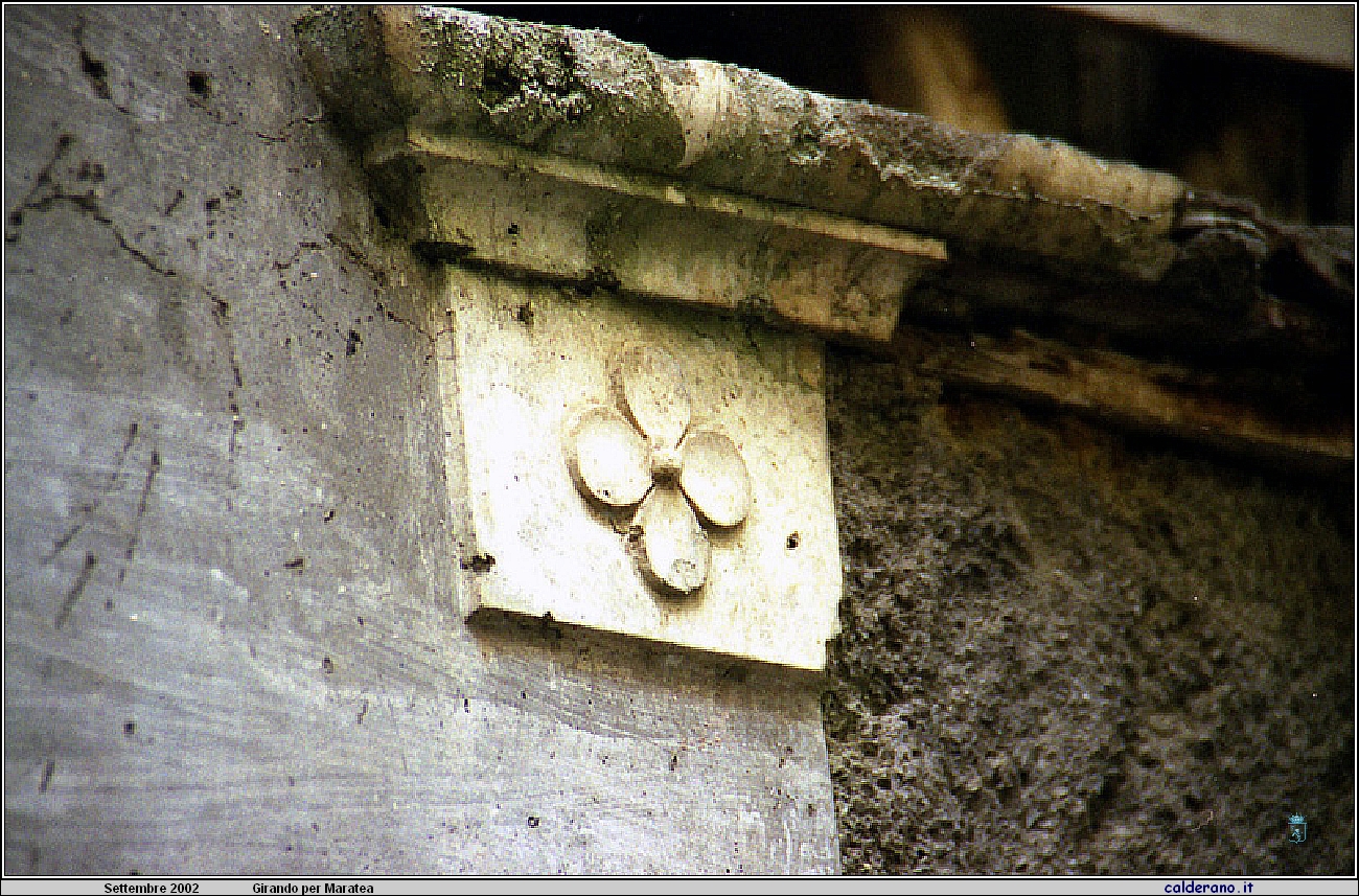02P_5572.jpg