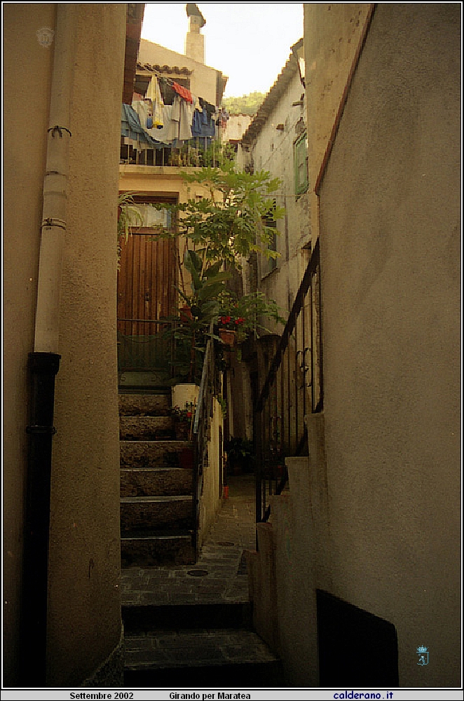 02P_5575.jpg