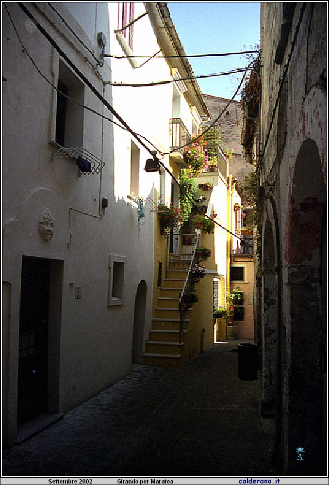02P_5576.jpg