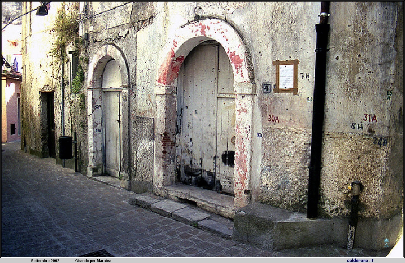 02P_5577.jpg