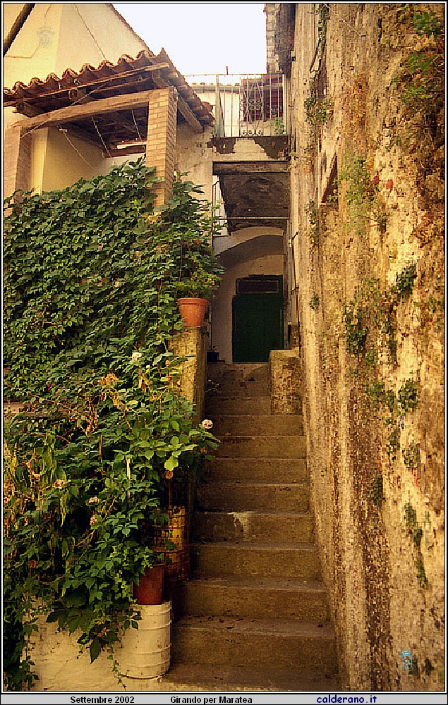 02P_5580.jpg
