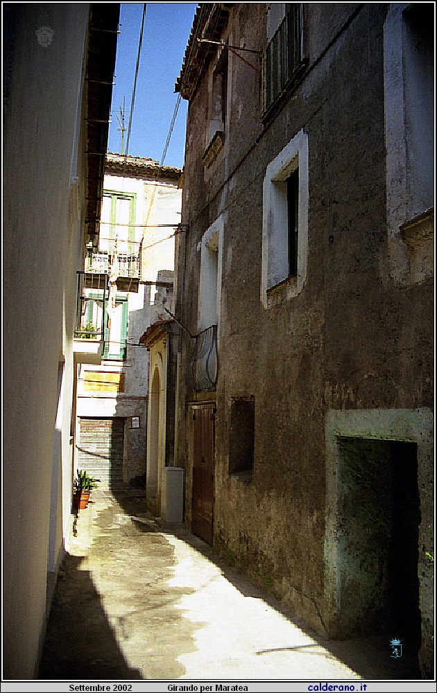 02P_5582.jpg