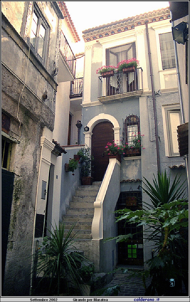 02P_5585.jpg