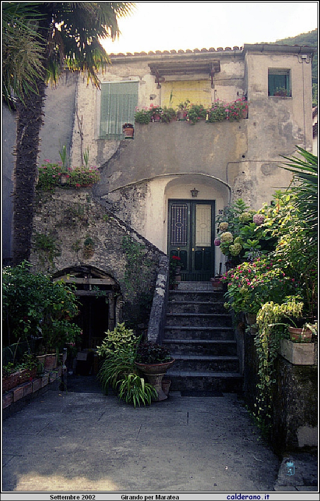 02P_5587.jpg