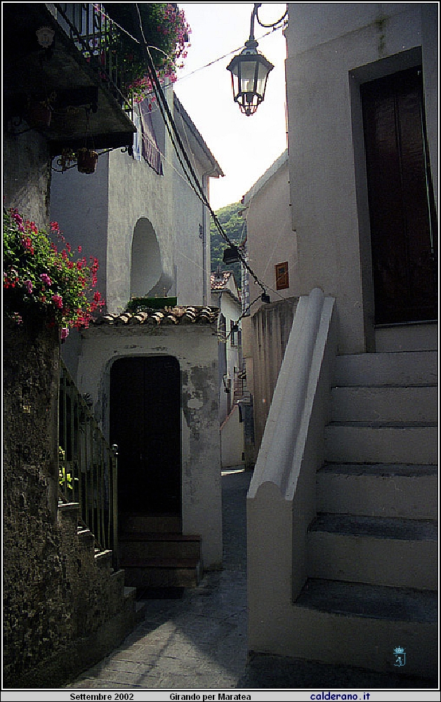 02P_5590.jpg