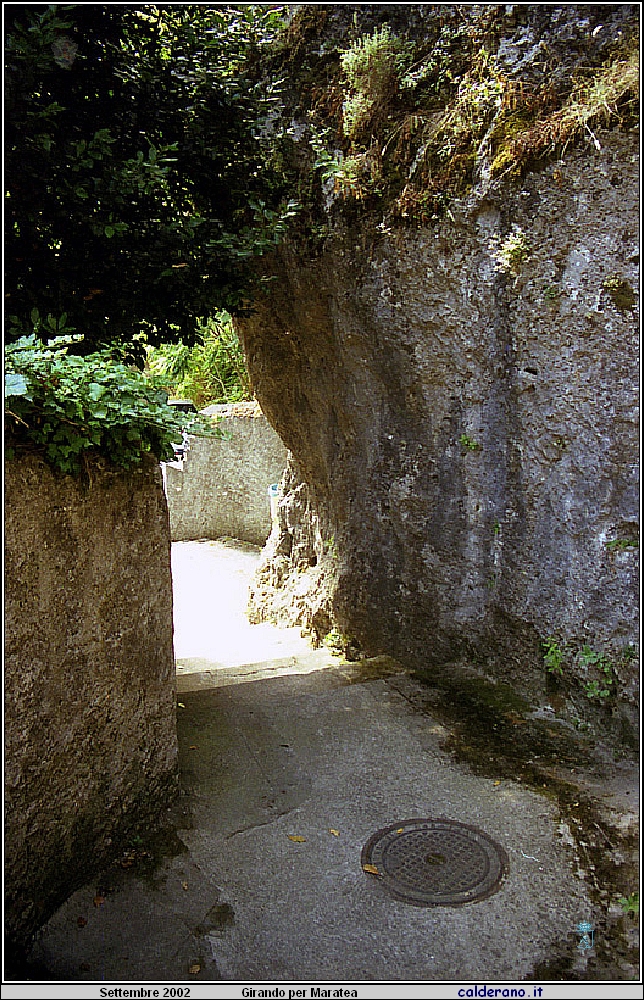 02P_5592.jpg