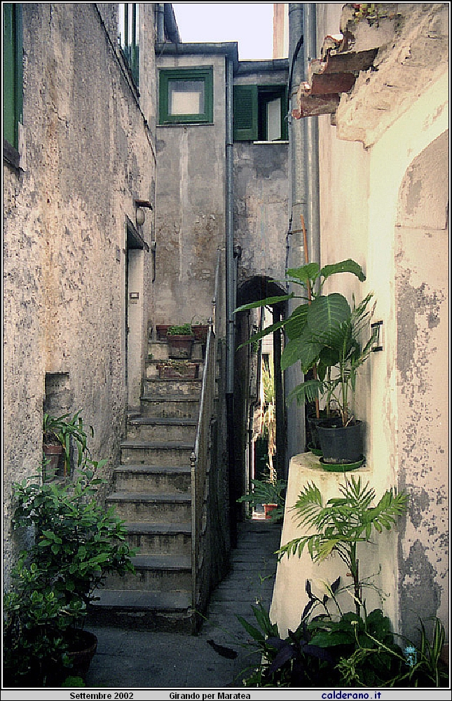x 02P_5584.jpg