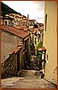 02P_5536.jpg