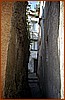 02P_5543.jpg