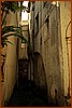 02P_5553.jpg