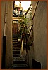 02P_5575.jpg