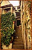 02P_5580.jpg