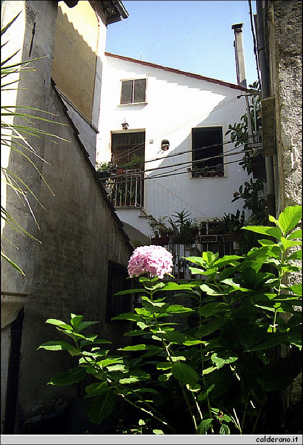 Traversa rovita 01.jpg