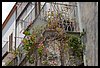 07E_0861.JPG