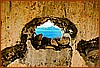 07S_3569.jpg