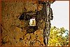 07S_3570.jpg