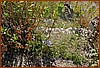 07S_3573.jpg