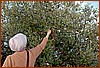 07S_3591.jpg
