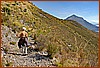 07S_3617.jpg