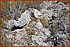 07S_3625.jpg