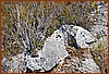 07S_3626.jpg
