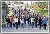 10D 2564.jpg